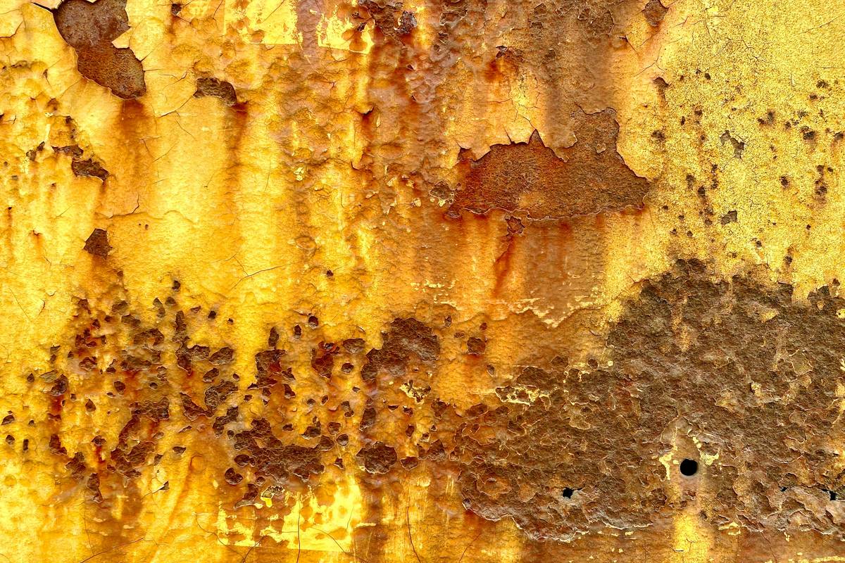 Before and after using eco friendly rust remover on garden tools